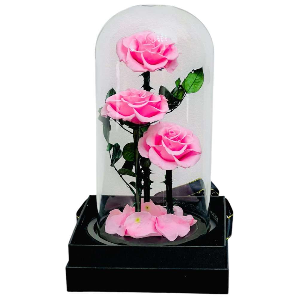 RR Luxury Flowers - Eternal 3 Heads Pink Rose Flower
