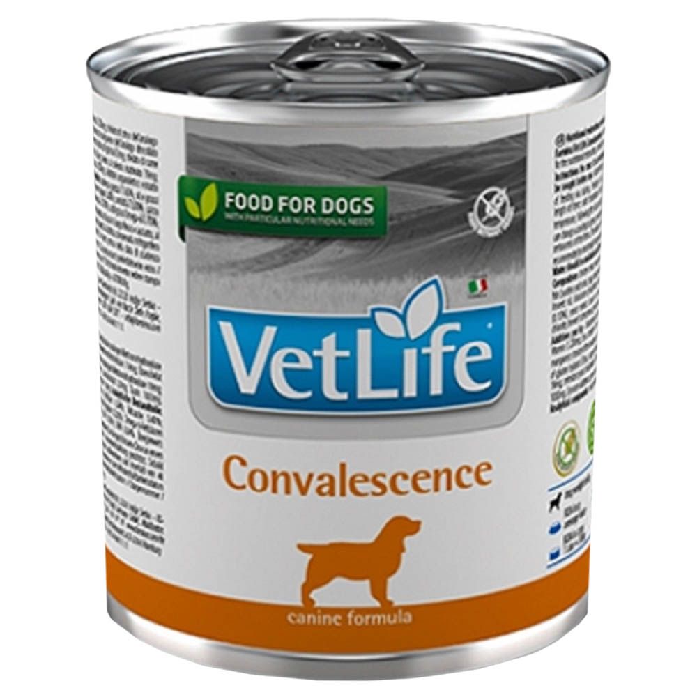 Farmina - Vet Life Convalescence Natural Diet Dog Food - 300 g