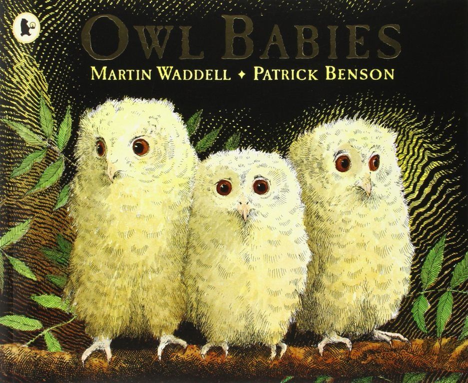 قصة Owl Babies من كتب ووكر
