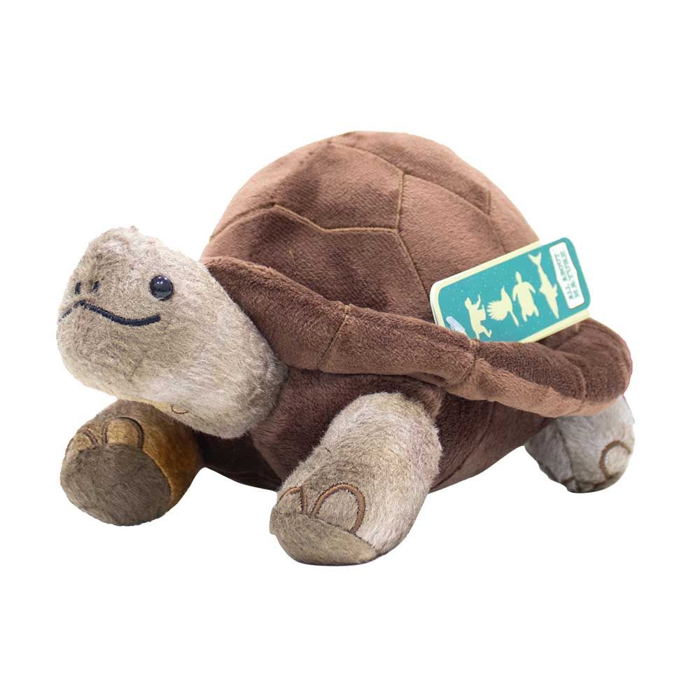 Wild Planet - Giant Tortoise Plush Toy - 14cm