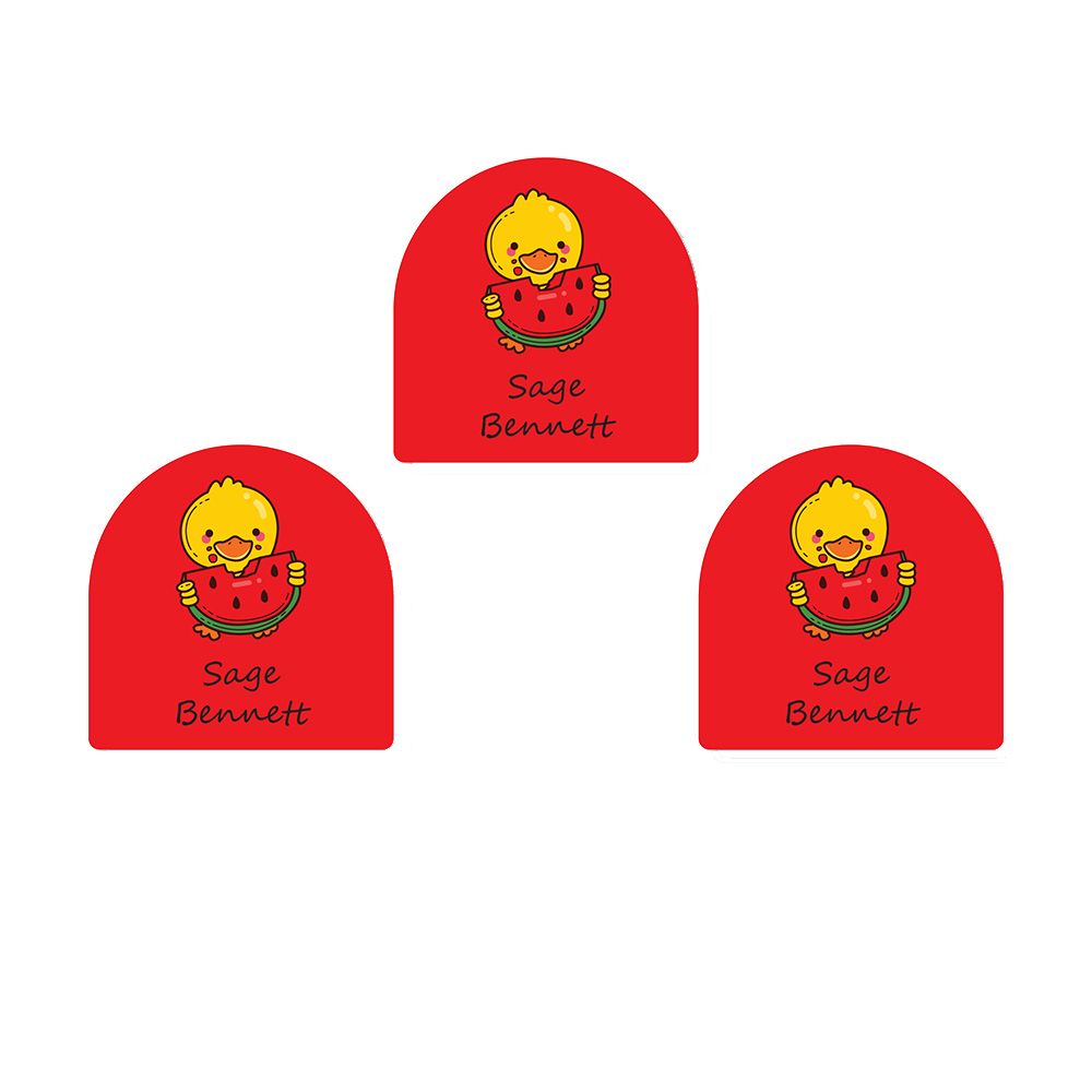 Ladybug Labels - Personalized Shoe Labels - Cute Ducky - 12pcs
