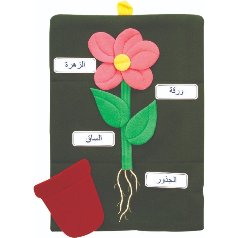 Twoey Toys - Foldaway Flower