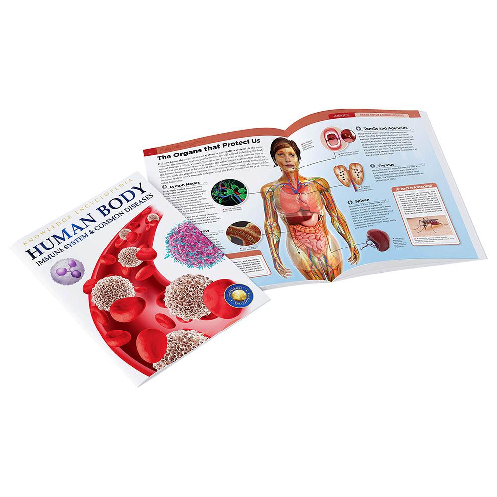 جسم الإنسان - الجهاز المناعي والأمراض الشائعة