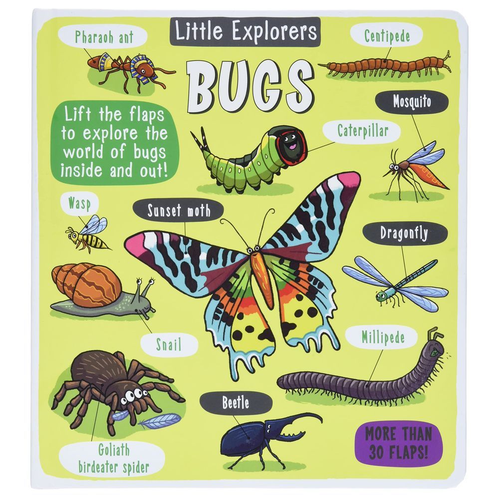 Little Explorers: Bugs