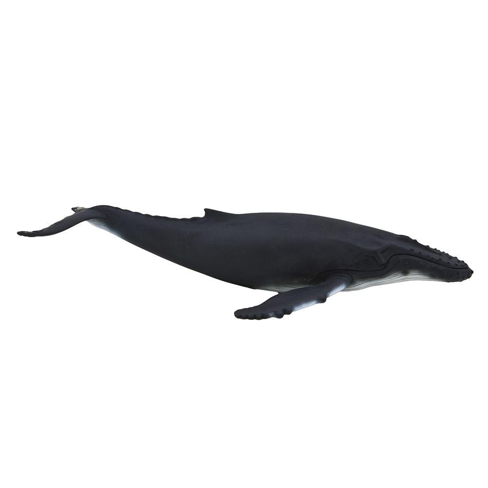 Animal Planet - Mojo Humpback Whale Toy Figure - Black