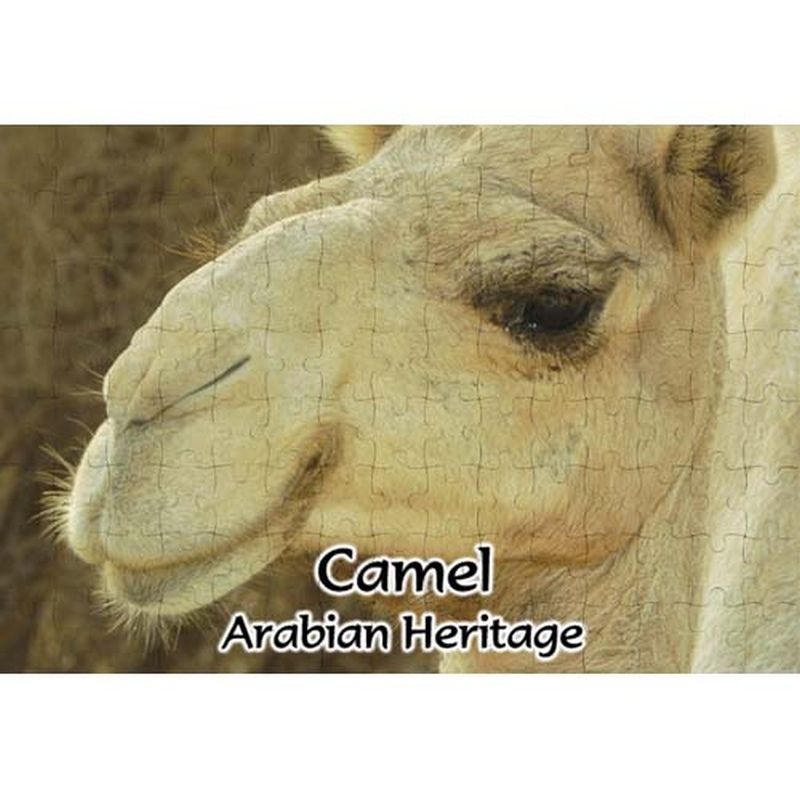 MOJO Arabian Camel Animal Figure – 387113, Educational Toy For Ages 3+, New