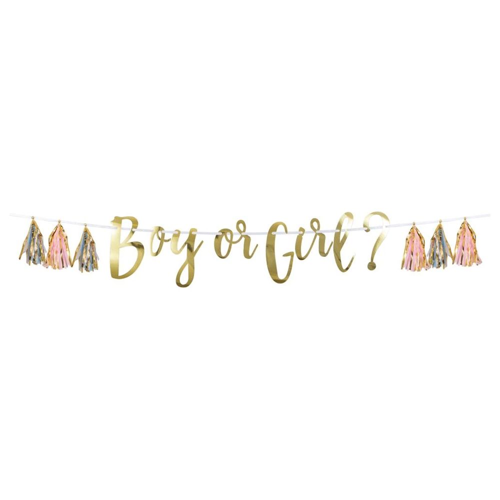 Creative Converting - Baby Shower Foil Banners - Boy Or Girl