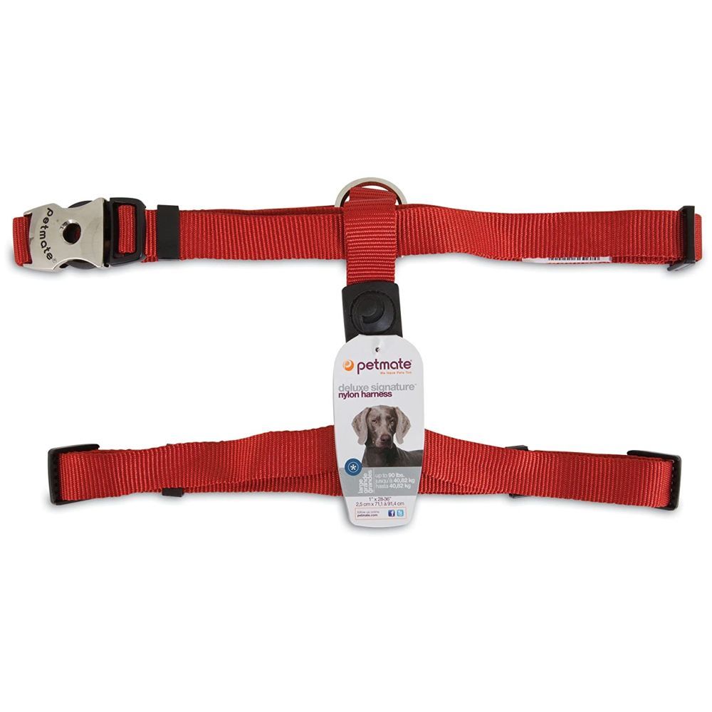 Petmate - حزام نايلون للكلاب 1"X28-36" - أحمر