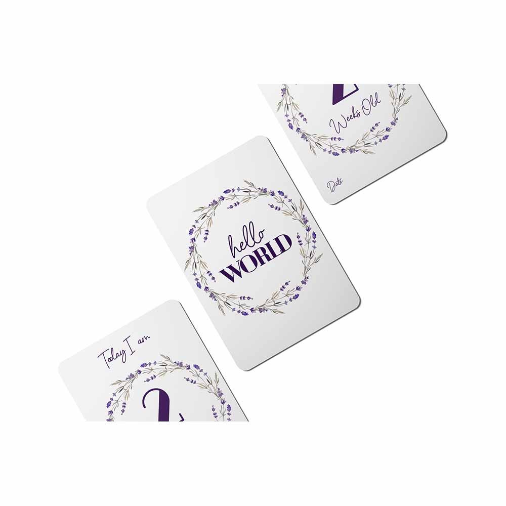 Twinkle And Giraffe Designs Purple Lavender Baby Milestone Cards Set of 25
