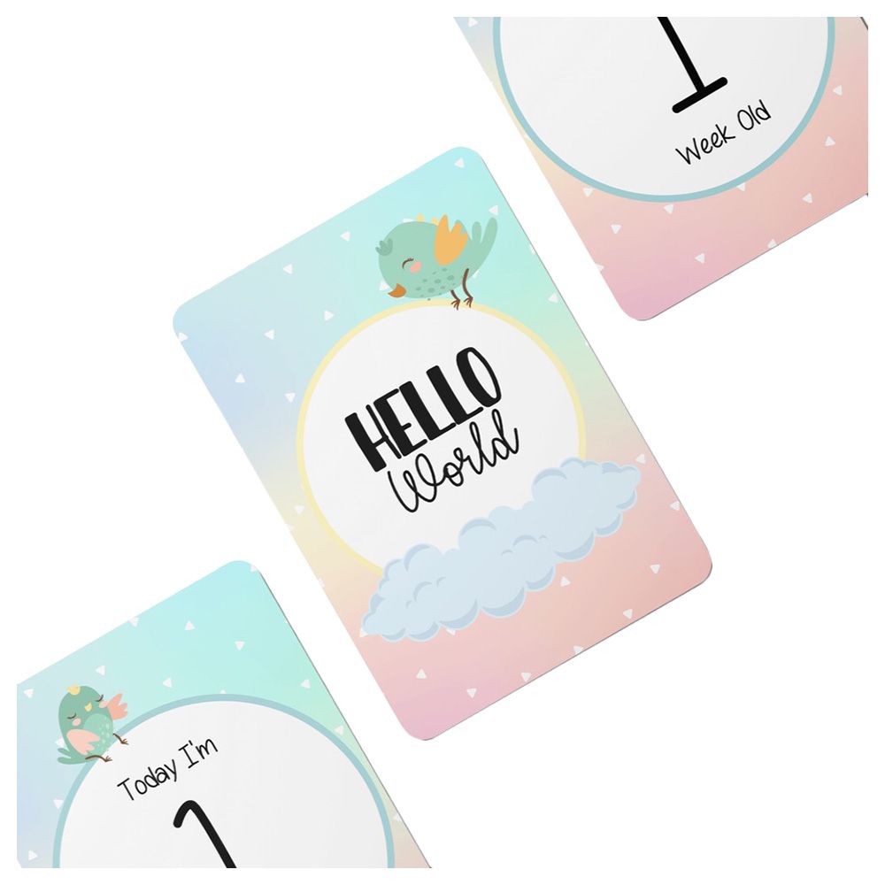 Twinkle And Giraffe - Birds Baby Milestone Cards 25C
