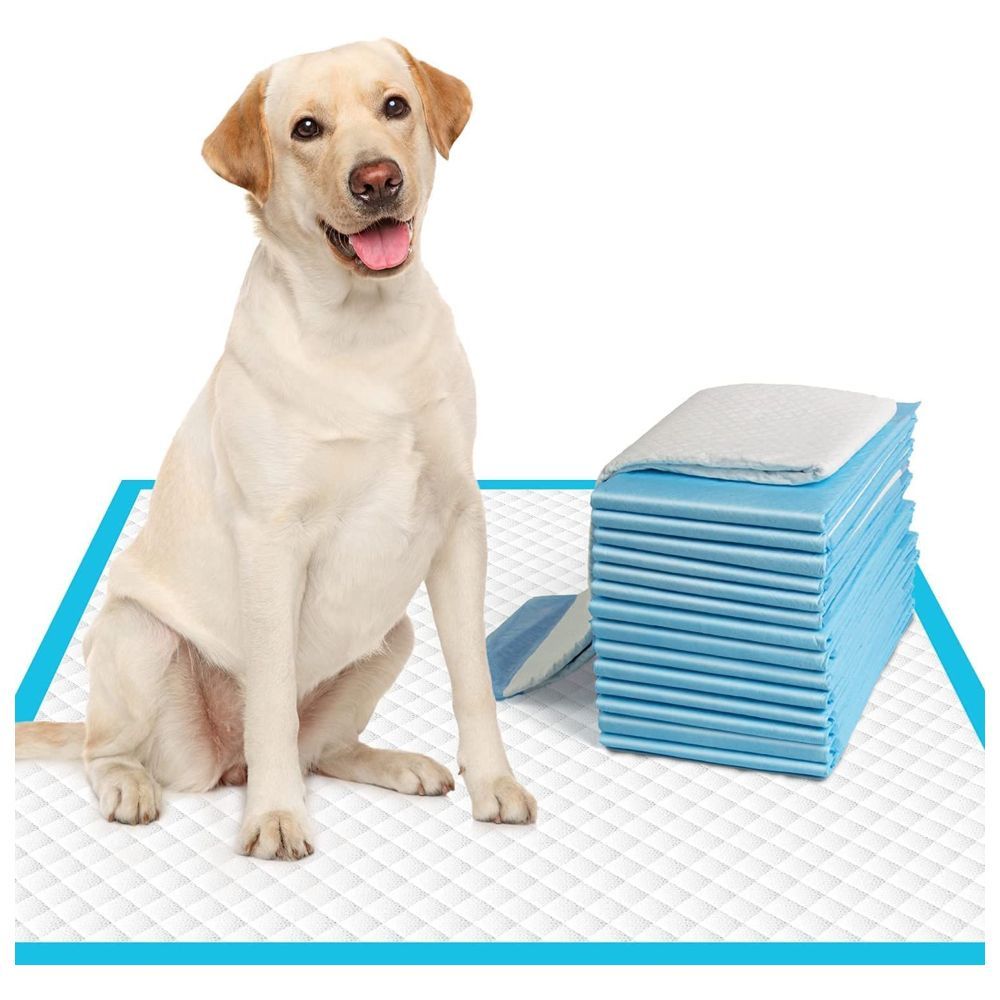 How to train puppy to wee on clearance pad