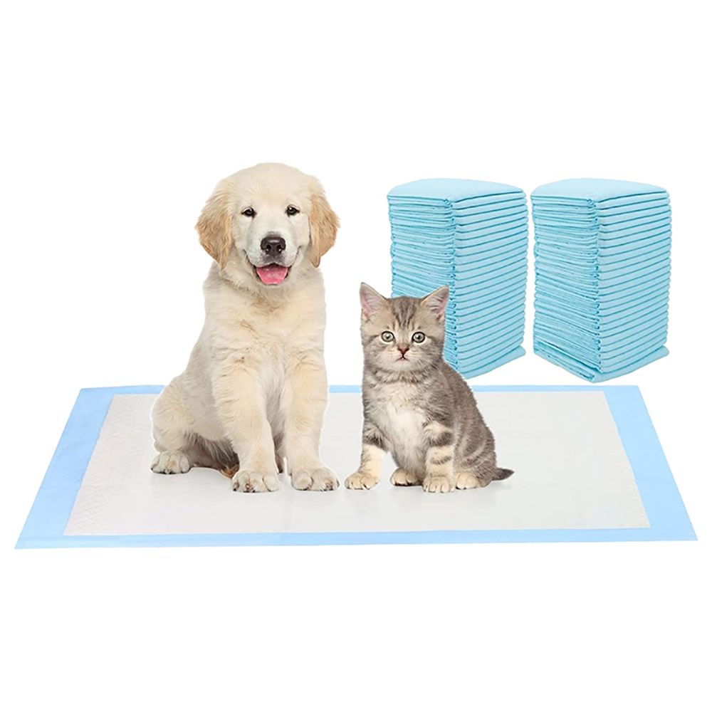 Training pad for dogs deals