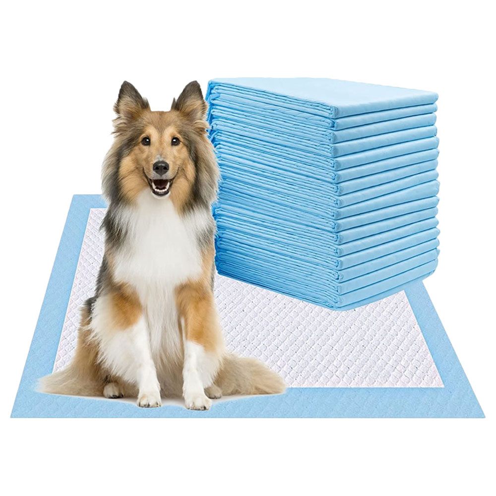 Pad training best sale
