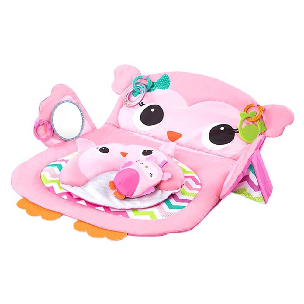 Bright starts sale owl bouncer