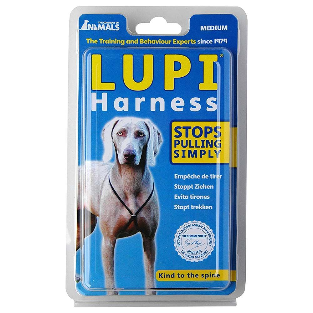 Medium dog deals harness