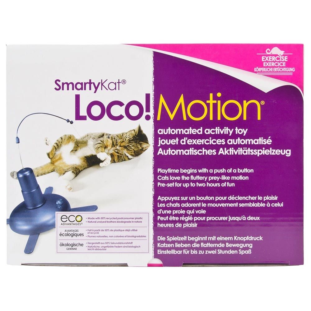 Smartykat Loco Motion Buy at Best Price from Mumzworld