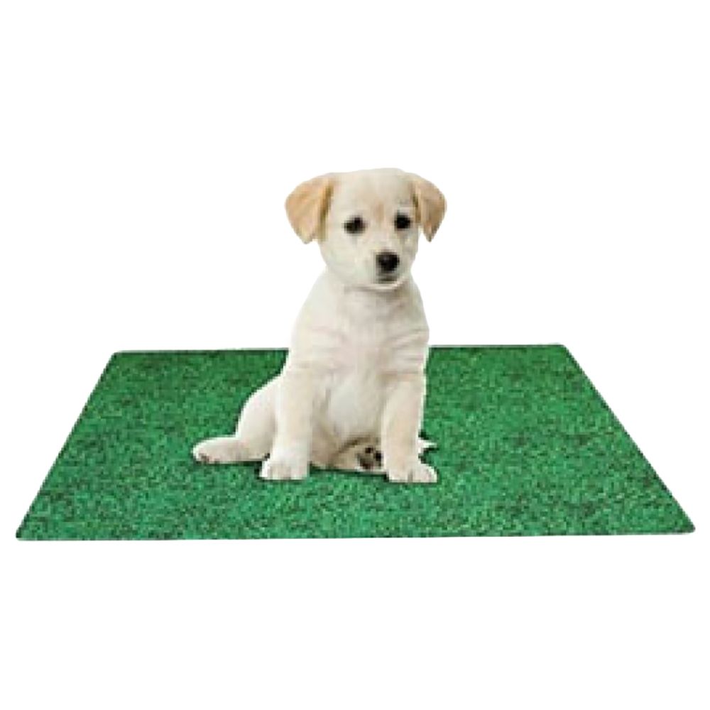 Fresh grass deals dog potty