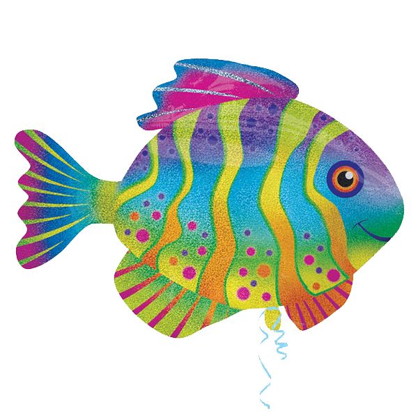 Colorful fish price hotsell