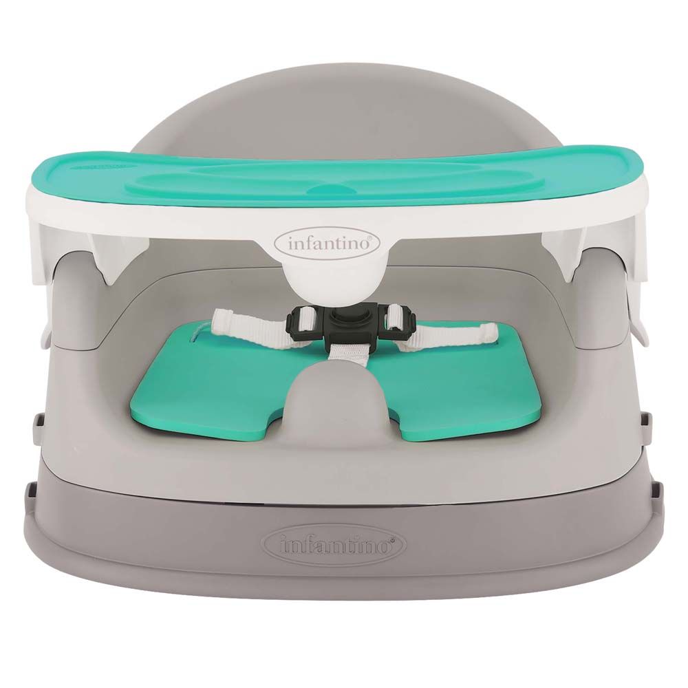 Fisher price sales booster chair