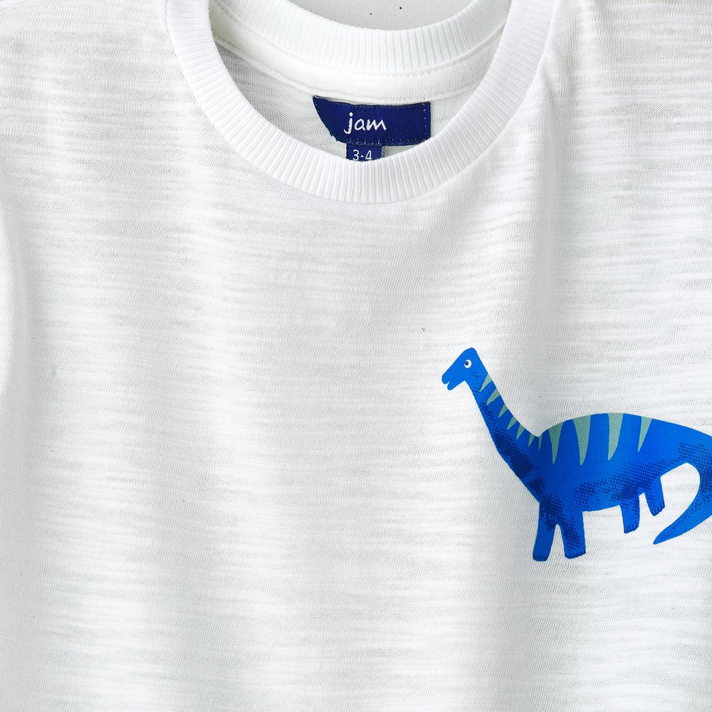 Boys' Dinosaur Graphic Cotton T-Shirt - White