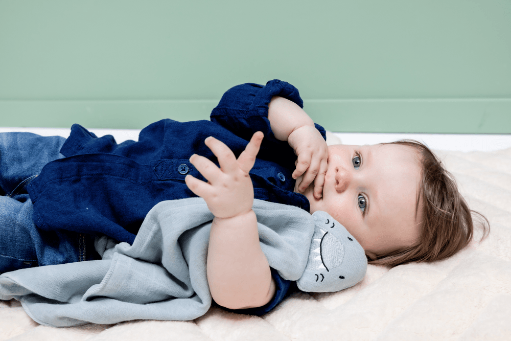 Trixie - Organic Cotton Soft Baby Comforter_Bliss - Mr. Shark