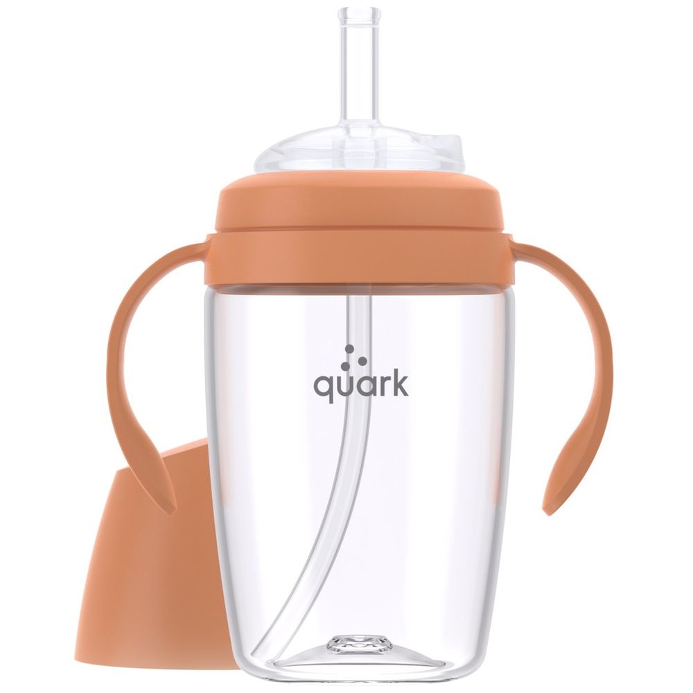 Quark BuubiBottle Sip Straw Cup - 240 ml