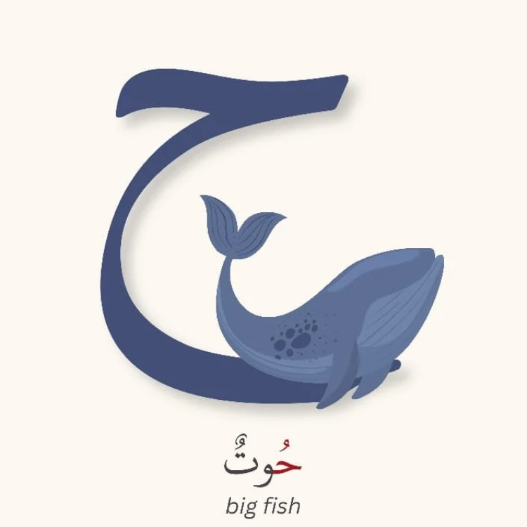 بطاقات تعليمية للأبجدية العربية