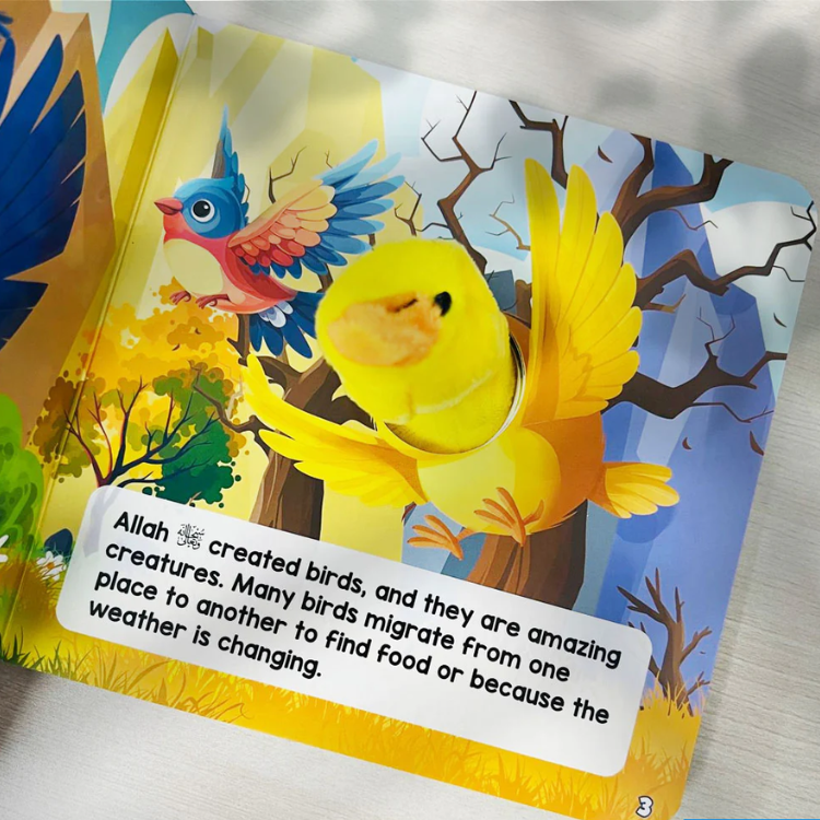 DeenSquare - The Story Of Animals In The Quran - Bird