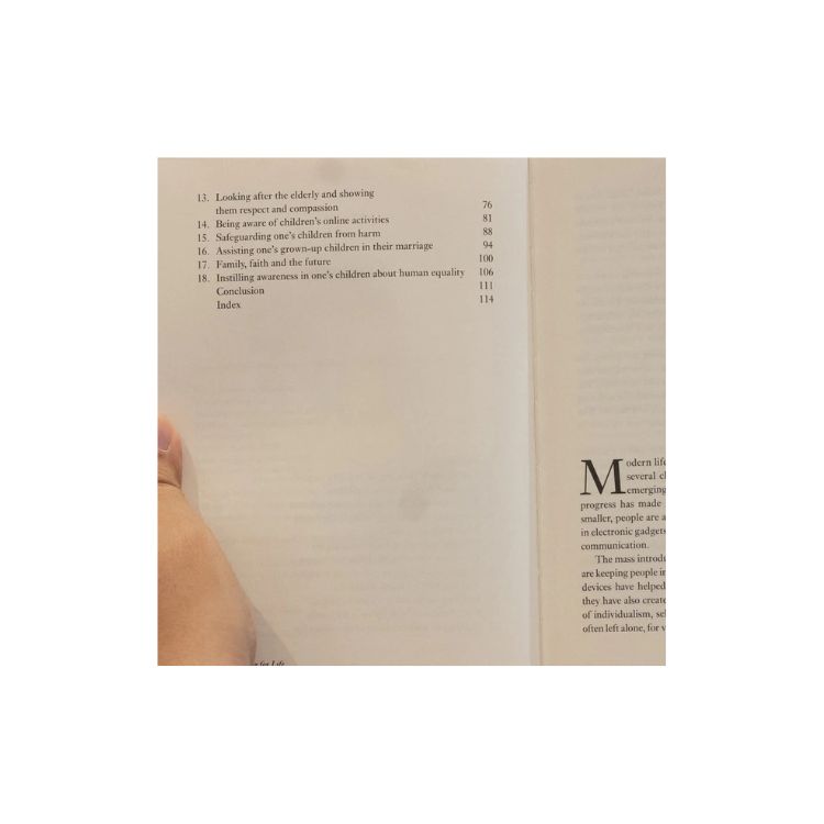 Preparing For Life: How To Help One's Children Become Mature And Responsible Adults