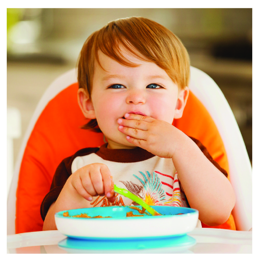 Munchkin Stay Put Suction Plate 6m+ - Blue