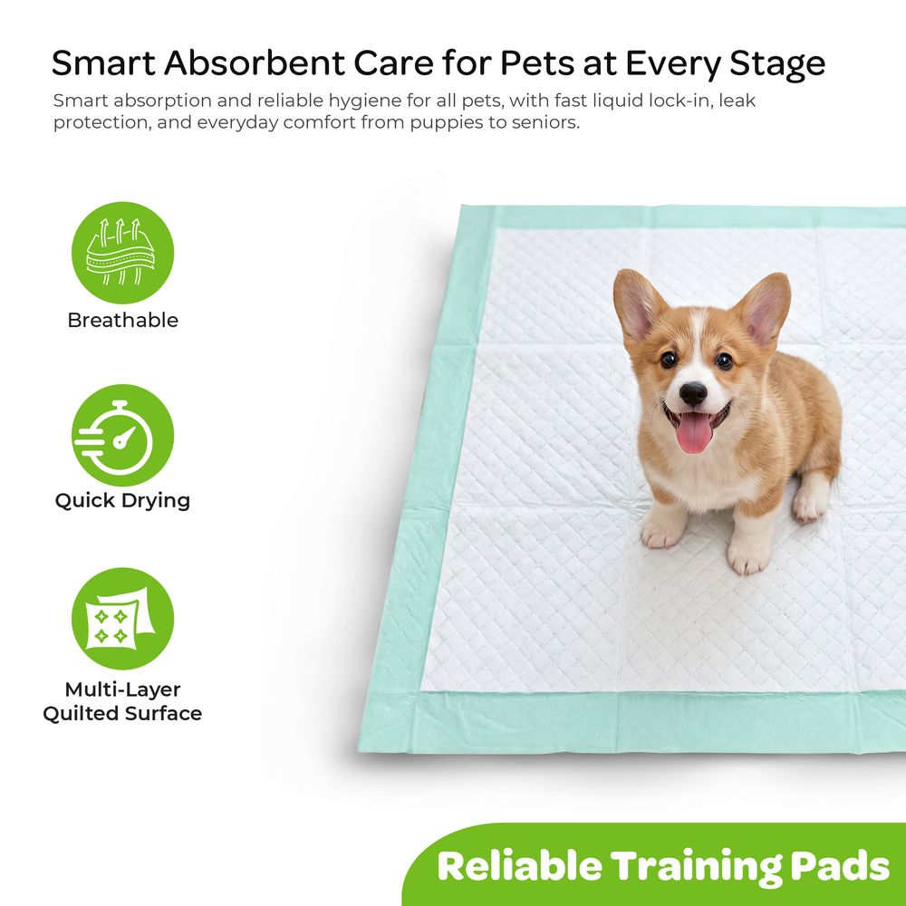 Moon - Pawzi Super Absorbent Pet Training Pads - White - 100 Pc Set