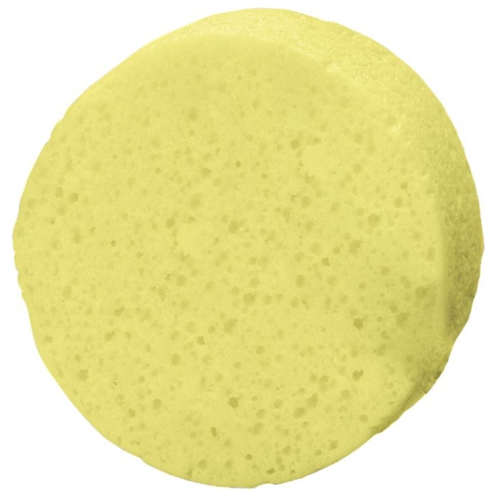Spongelle - Essentials Coconut Body Wash Infused Buffer - 70 gm
