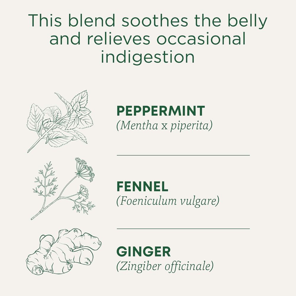 Traditional Medicinals - Belly Comfort Peppermint Supplement Tea Bags - 16 Pcs