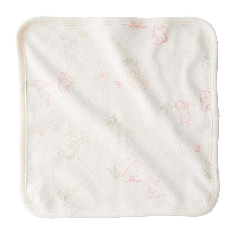 Carters - Baby Girl's Washcloth - Pink - 6 Pc Set