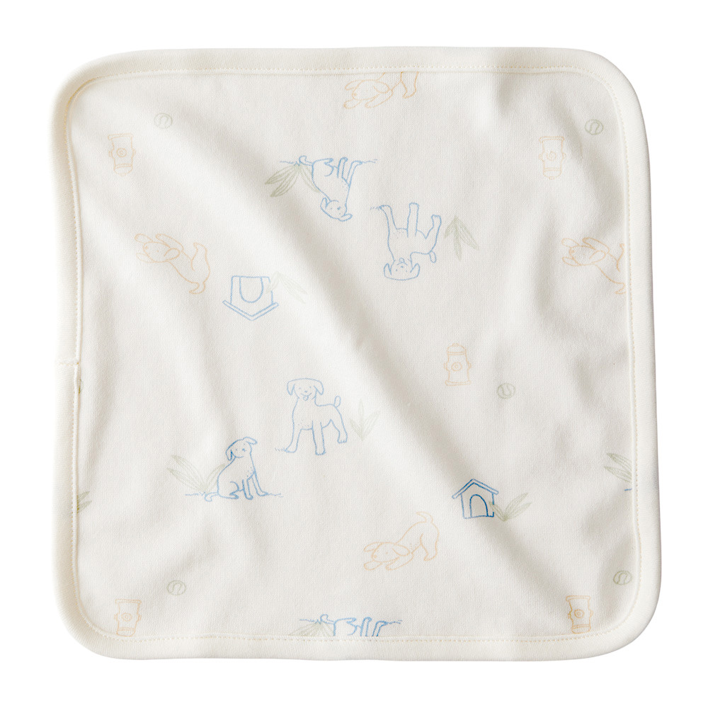 Carters - Baby Boy's Washcloth - Blue - 6 Pc Set