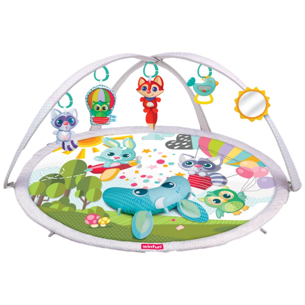 Winfun - BabySpace Activity Gym