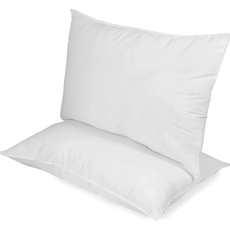 Home Canvas - Fiesta Pillow - White - 2 Pc Set