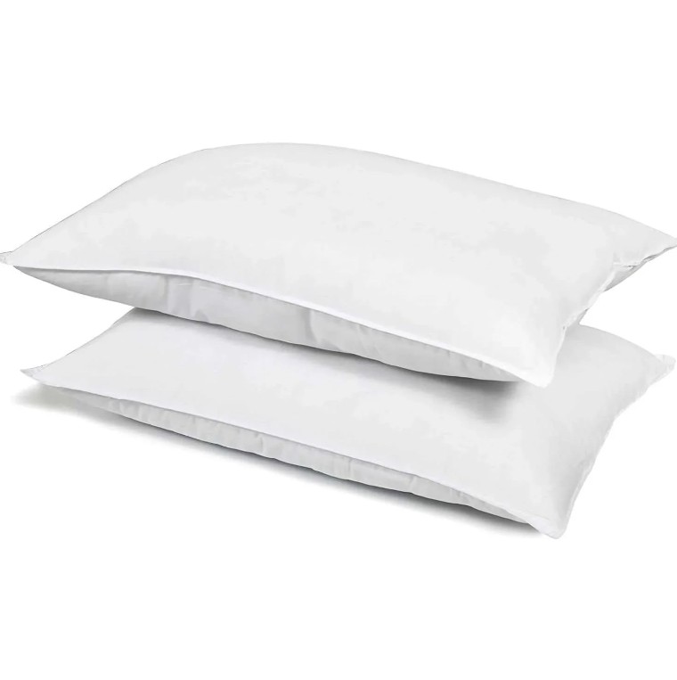 Home Canvas - Fiesta Pillow - White - 2 Pc Set