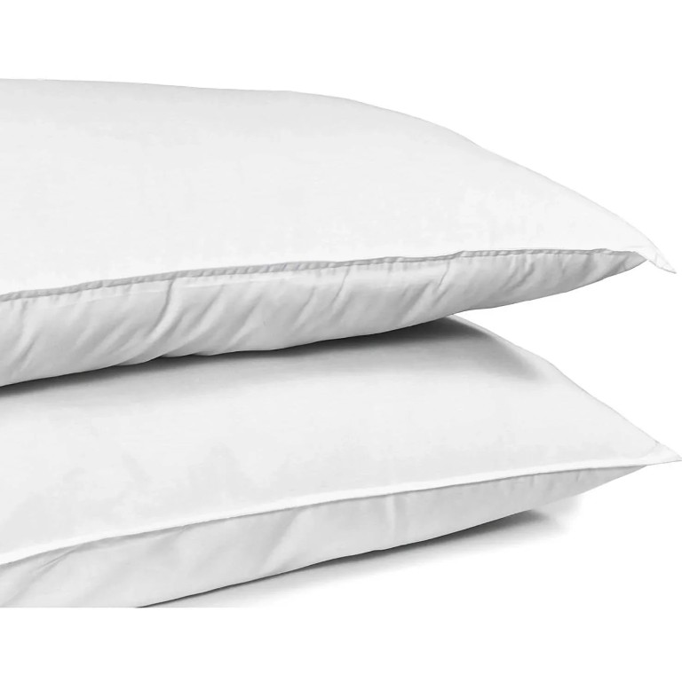 Home Canvas - Fiesta Pillow - White - 2 Pc Set