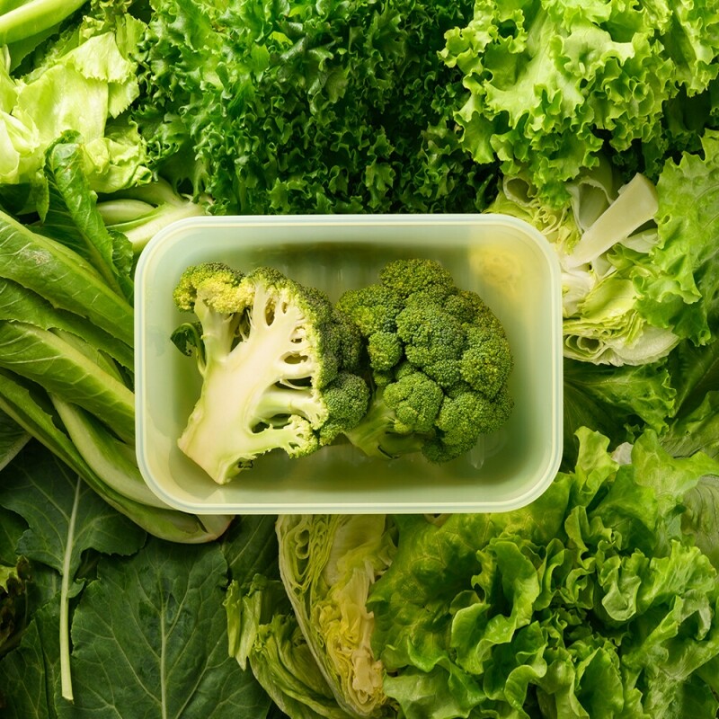 LOCK&LOCK - Fresh Block 31-Day Freshness Solution Rectangle Container 330ml