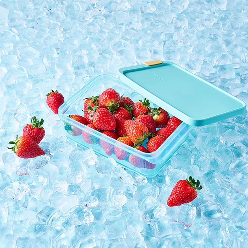 Lock&Lock - Freezer Fit Rectangle Food Container - Blue - 1.05 L