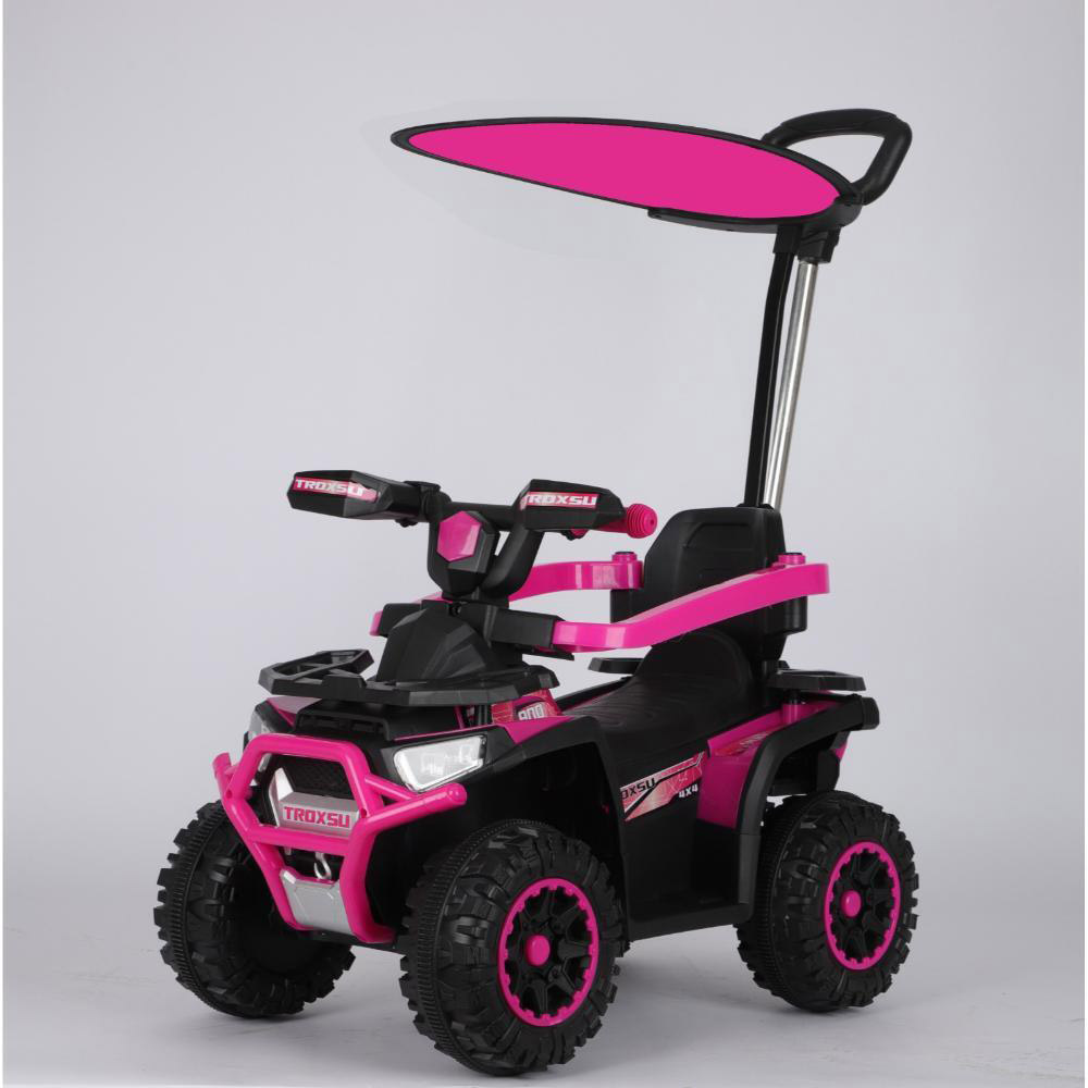 Myts Girl's 4-In-1 Ride-On Push Car With Canopy And Safety Handle - Pink