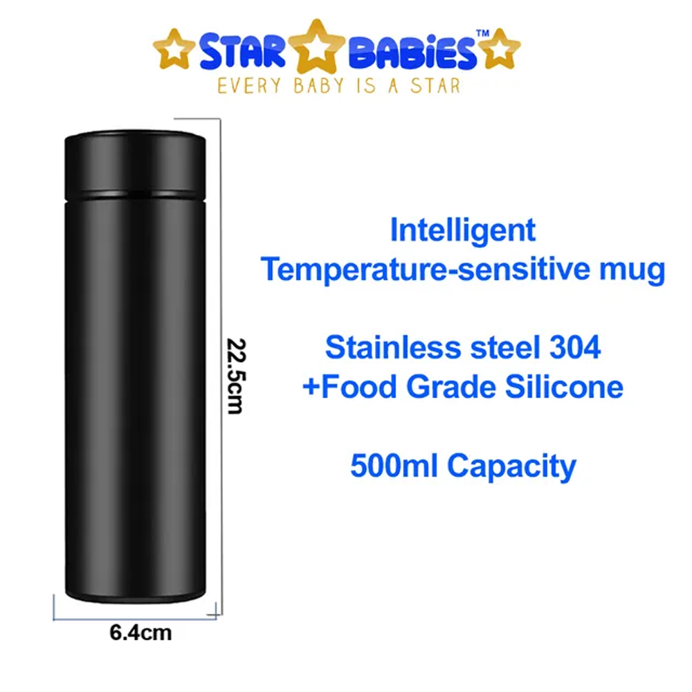 Star Babies - Premium Stainless Steel Water Bottle & 5-Compartment Lunch Box Set - 2 Pcs