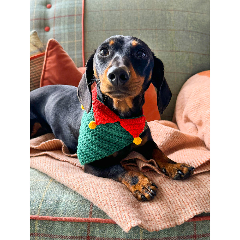 Talking Tables - Botanical Pet Christmas Crochet Bandana