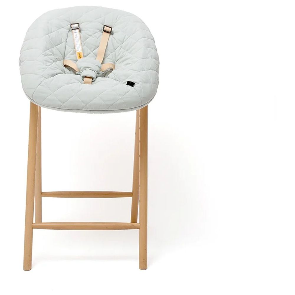 Charlie Crane - Tobo Newborn Seat For Convertible High Chair