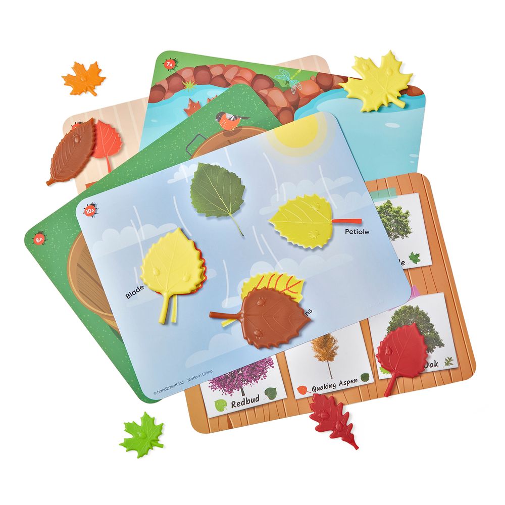 Learning Resources - Sensory Leaves Math Activity Set