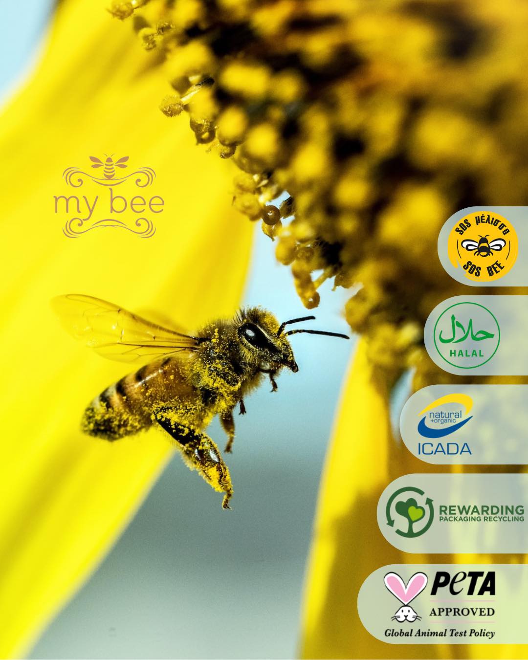 Mybee - Advanced Lift Face Cream - 50ml