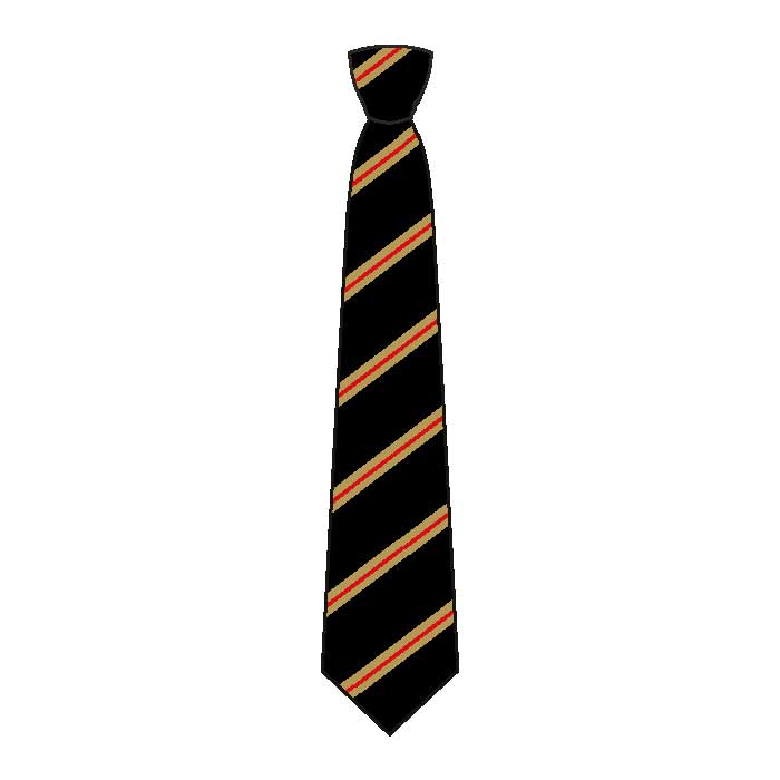 Full Tie - Grade 11-12 - GEMS Our Own Indian School - Dubai