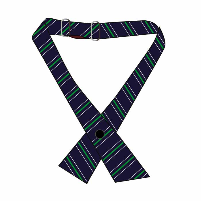 Cross Over Tie - Green - Grades 1-4 - GEMS Wellington International School - Dubai