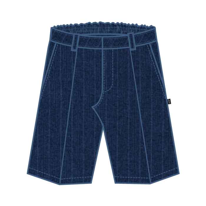 Boys Pinstriped Shorts - Navy - Primary - GEMS Royal Dubai School